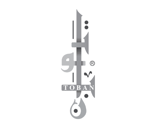 شركة سامح محمد توبان وشركاه توبان محامون ومستشارون قانونيون logo