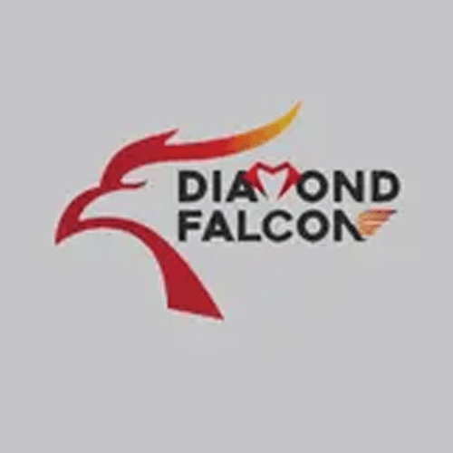مؤسسة الصقر الماسي للسلامه logo